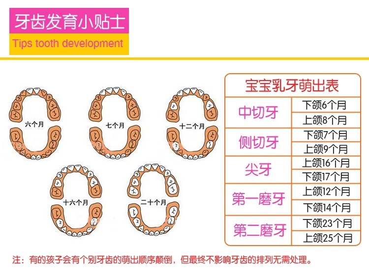 兒童硅膠牙膠,水果圖案牙膠 兒童硅膠牙膠,水果圖案牙膠